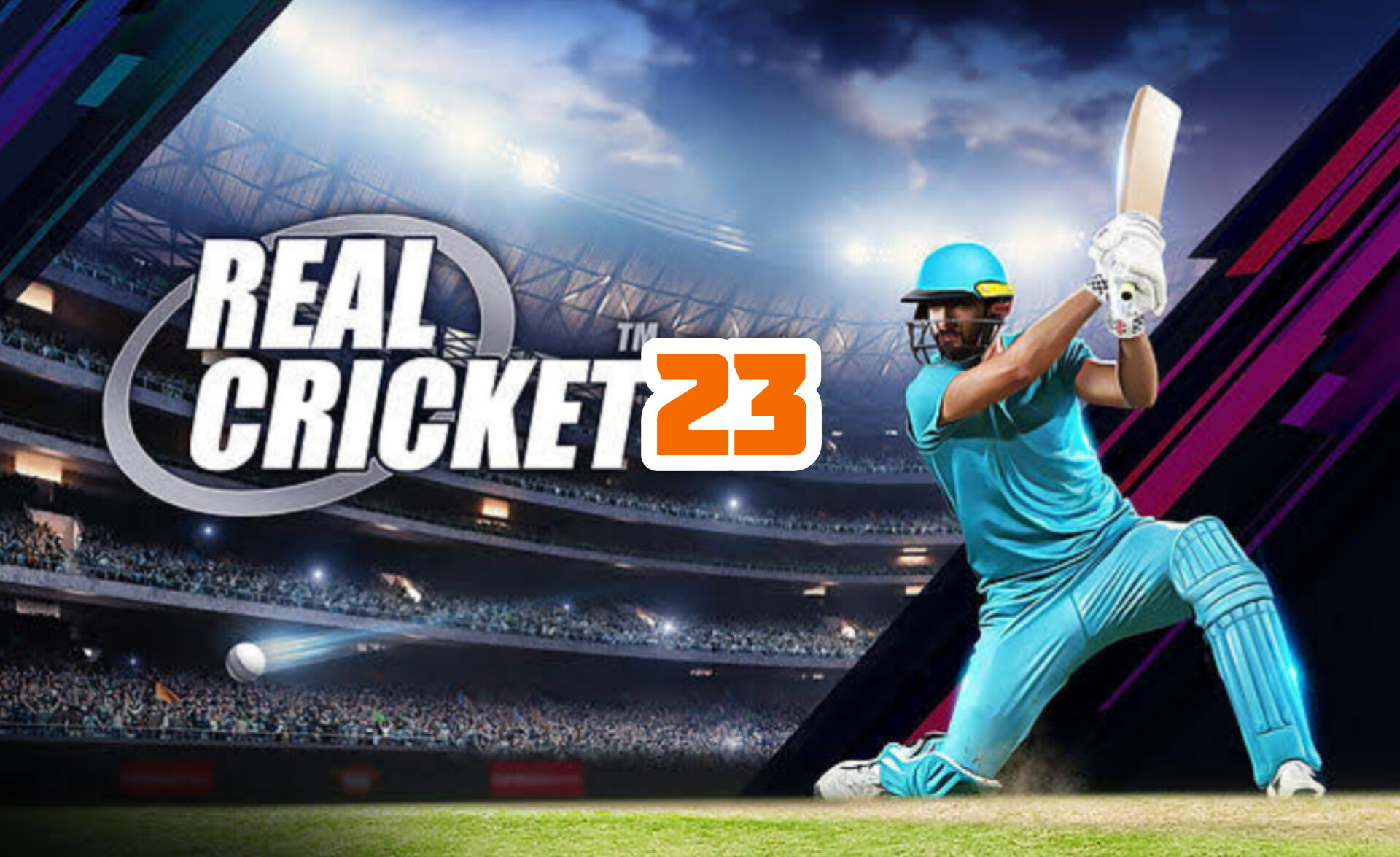 Real Cricket™ 23 icon